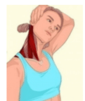 fisioterapia-rehabilitacion-centro-larios-atm-14